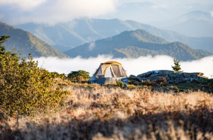 landscape with a tent
